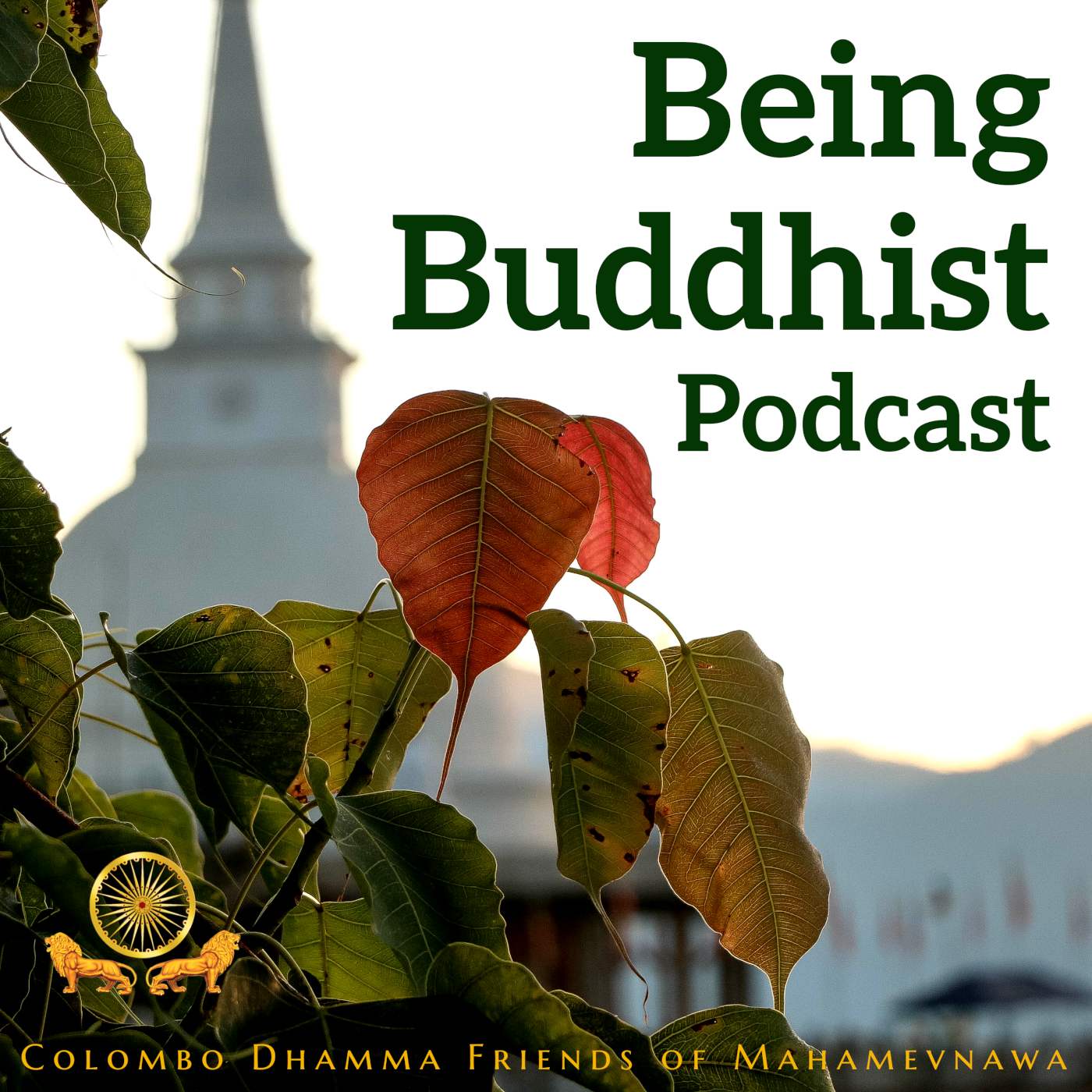 Gratefulness: The Supreme Buddha’s Own Gratefulness
